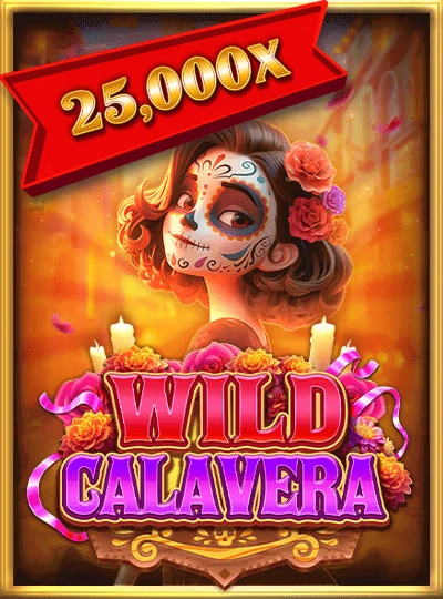 lnnwa8
